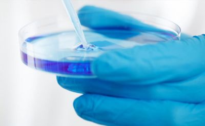 枣庄瀚邦化工有限公司网站全新改版